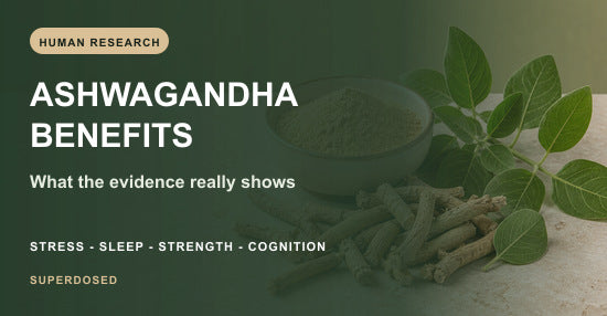 Ashwagandha benefits explained using human research