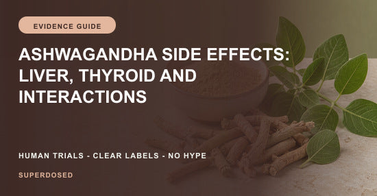 Ashwagandha side effects, liver, thyroid and interaction safety guide