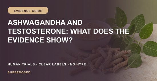 Ashwagandha and testosterone evidence from human trials