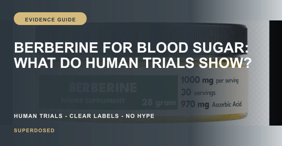Berberine blood sugar evidence from human trials