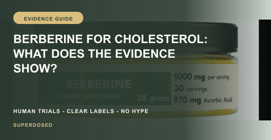 Berberine cholesterol LDL and triglyceride evidence