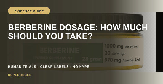 Berberine dosage and daily serving guide