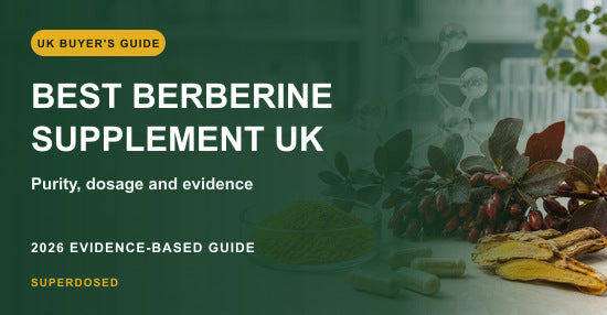 Best berberine supplement UK 2026 evidence-based buyer's guide