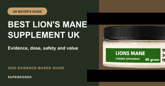 Best Lion's Mane Supplement UK (2026): Buyer's Guide
