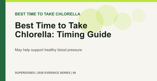 Best Time to Take Chlorella: Timing Guide