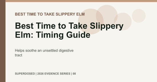 Best Time to Take Slippery Elm: Timing Guide