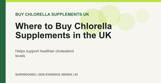 Where to Buy Chlorella Supplements in the UK