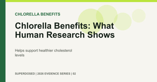 Chlorella Benefits: What Human Research Shows