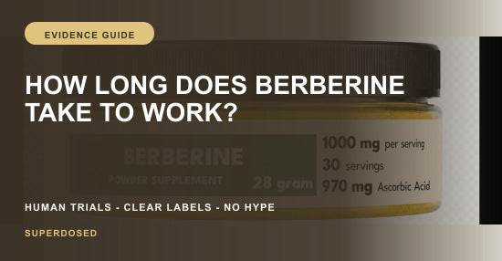 Timeline showing how long berberine takes to work in trials