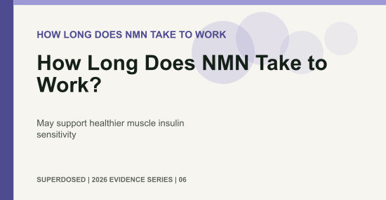 How Long Does NMN Take to Work?