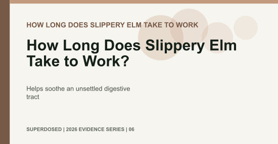 How Long Does Slippery Elm Take to Work?