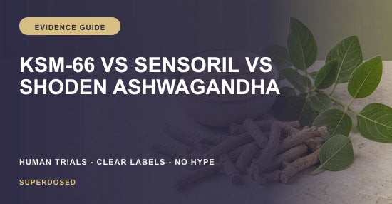KSM-66 versus Sensoril versus Shoden Ashwagandha comparison