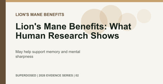 Lion's Mane Benefits: What Human Research Shows