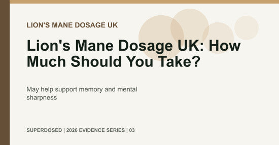 Lion's Mane Dosage UK: How Much Should You Take?