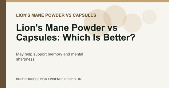 Lion's Mane Powder vs Capsules: Which Is Better?