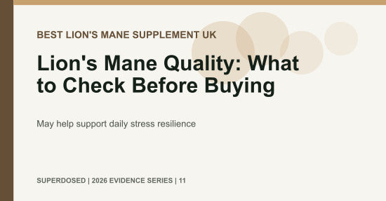 Lion's Mane Quality: What to Check Before Buying