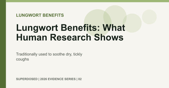 Lungwort Benefits: What Human Research Shows