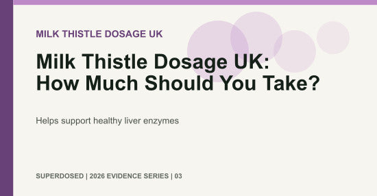 Milk Thistle Dosage UK: How Much Should You Take?