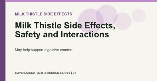 Milk Thistle Side Effects, Safety and Interactions