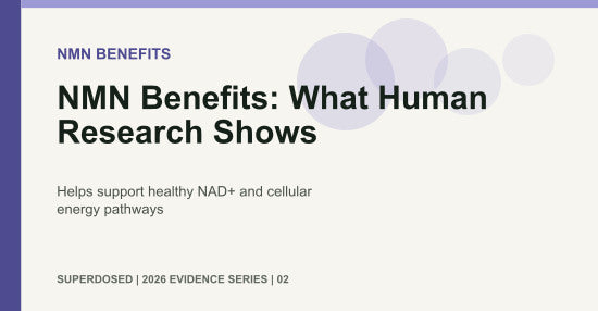 NMN Benefits: What Human Research Shows