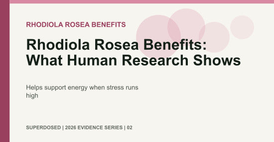 Rhodiola Rosea Benefits: What Human Research Shows