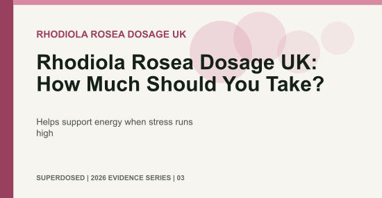 Rhodiola Rosea Dosage UK: How Much Should You Take?