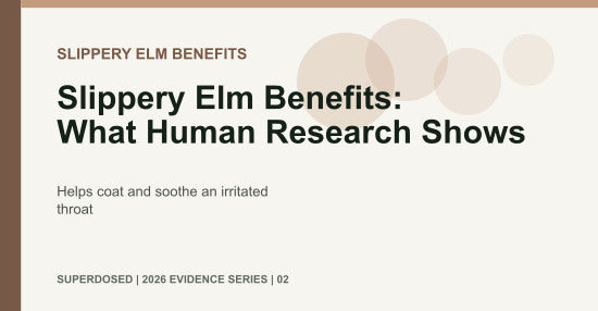 Slippery Elm Benefits: What Human Research Shows