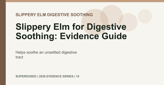Slippery Elm for Digestive Soothing: Evidence Guide