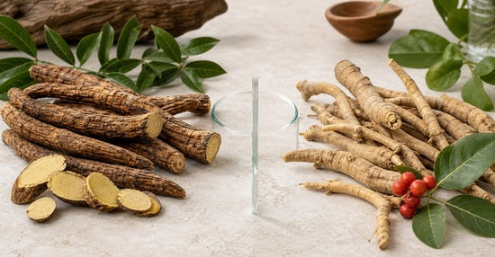 Tongkat Ali versus Ashwagandha evidence comparison