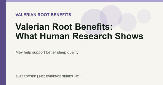 Valerian Root Benefits: What Human Research Shows